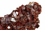 Deep Red Vanadinite Crystal Cluster - Morocco #157039-1